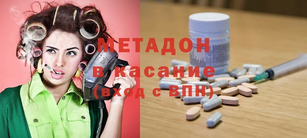 индика Алексин