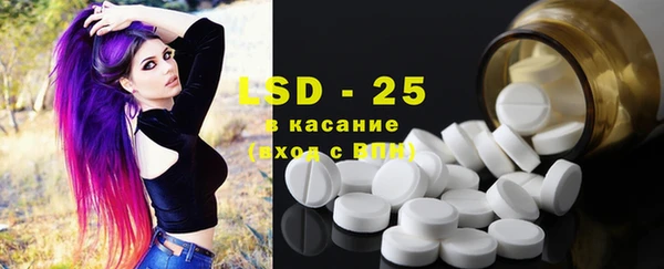 индика Алексин