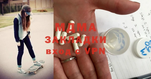 индика Алексин