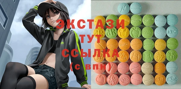 индика Алексин