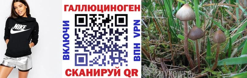 Галлюциногенные грибы GOLDEN TEACHER Пролетарск